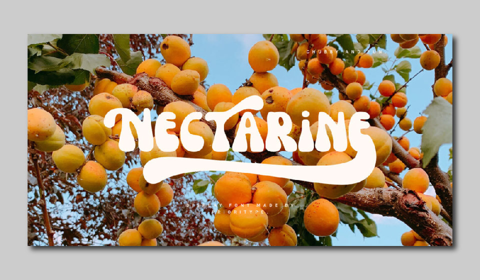 فونت Nectarine